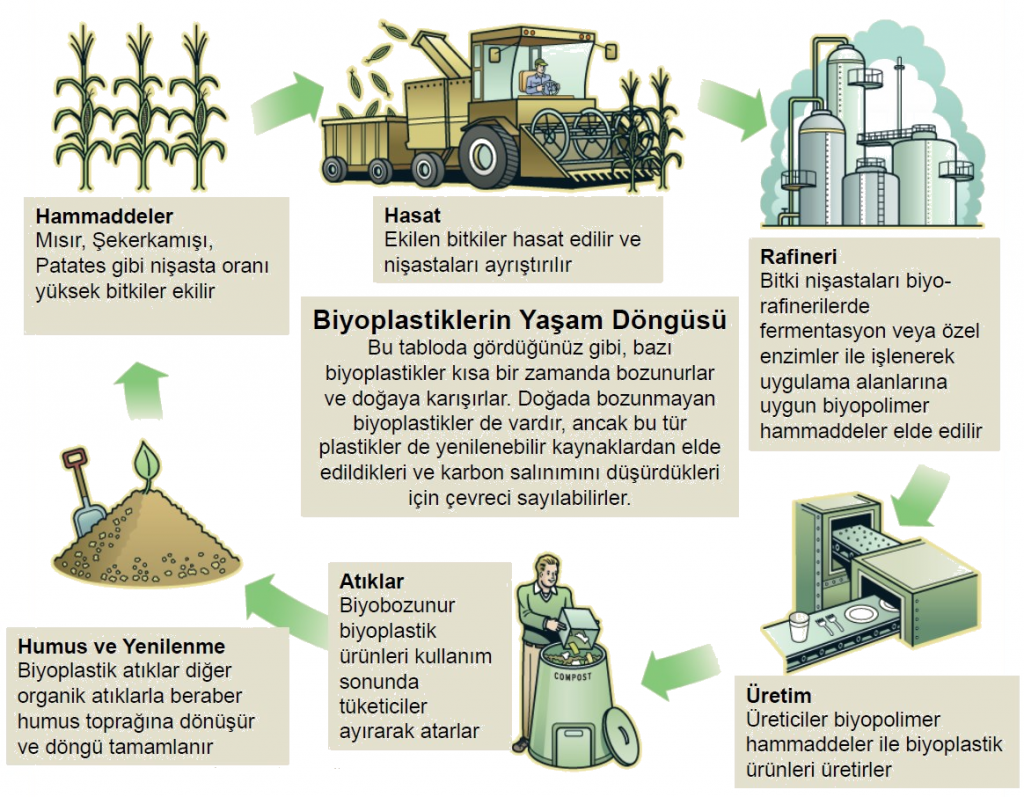 biyobozunur-ekolojik-dongu